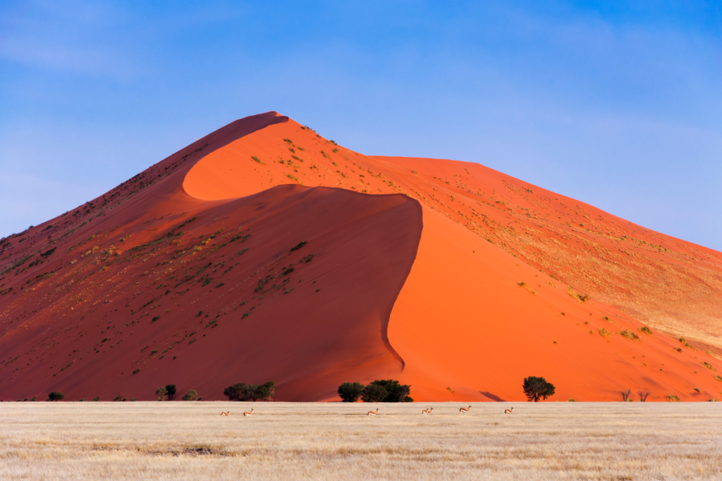 Sossusvlei Dunes