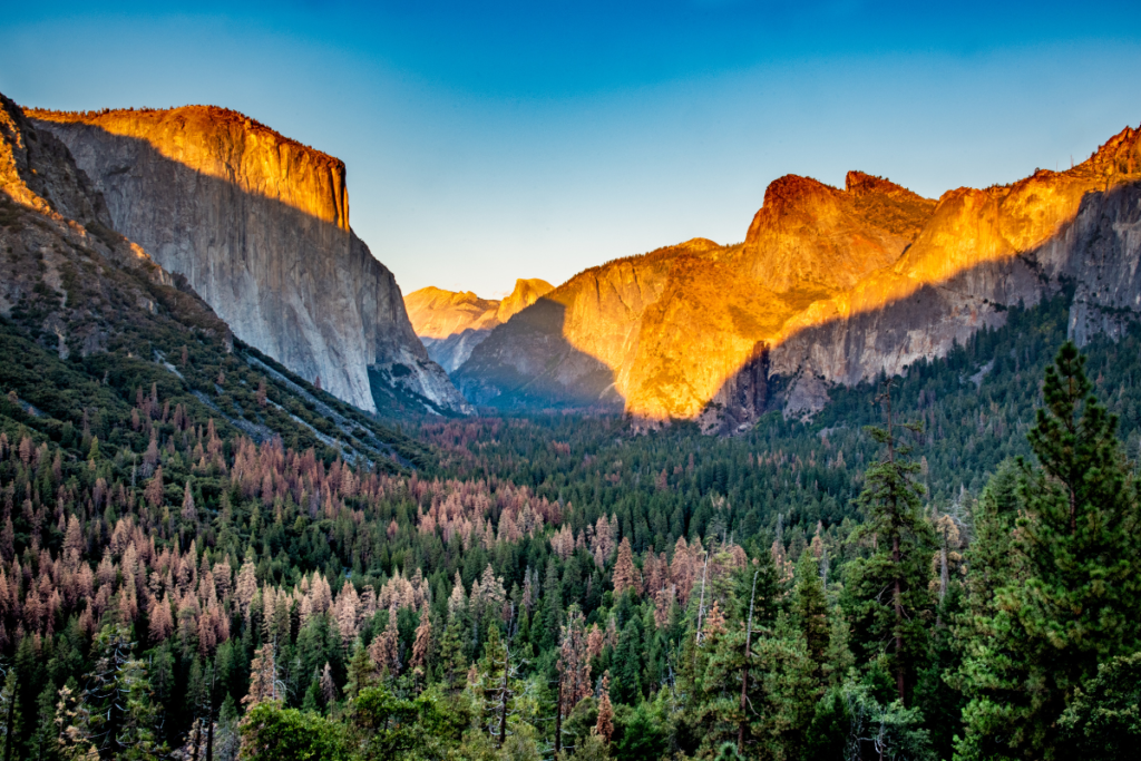 Yosemite National Park